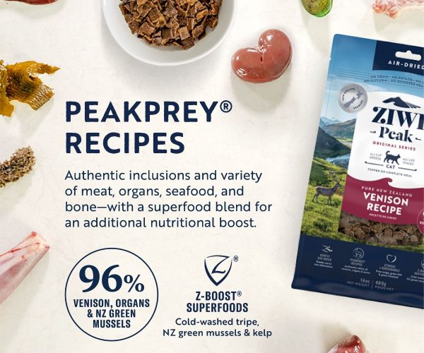 Skip the Trip and Buy Cat Food Online for These Benefits